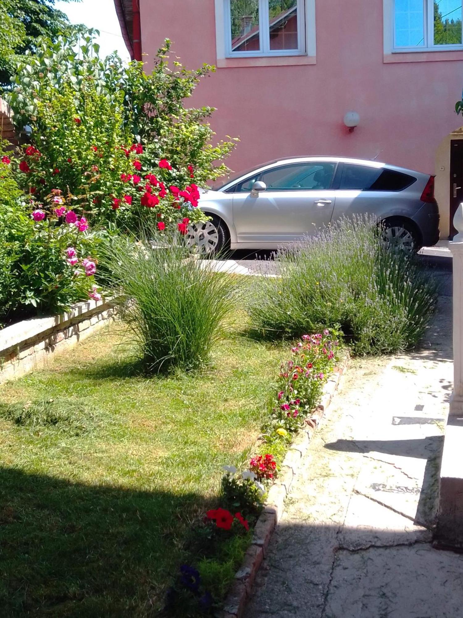 Apartman House Annesa Сараєво Екстер'єр фото